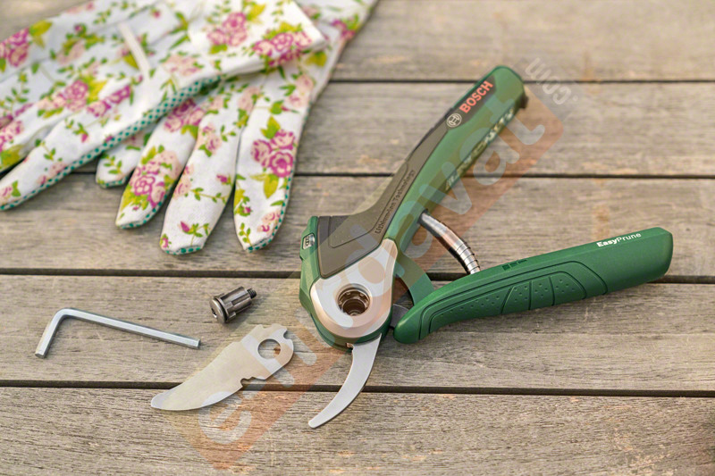 Bosch EasyPrune