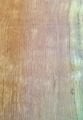 Bubinga Ağacı 20cm x 50cm x 8mm