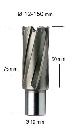 FePowerTools TCT Elmas Uçlu Manyetik Matkap Ucu 30 x 50 mm