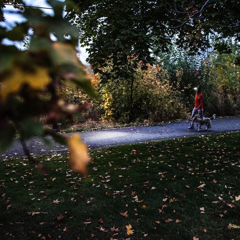 LEDLENSER HF4R Core Mavi Şarjlı Kafa Feneri (502791)