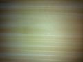 Ihlamur Ağacı (Defolu İnce) 17 x 50 x 6