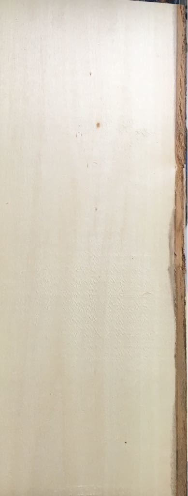 Ihlamur Ağacı 17cm x 48cm x 20mm / Defolu