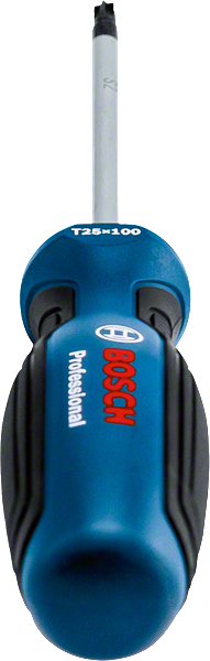 Bosch Profesyonel Torx Tornavida TX25x100