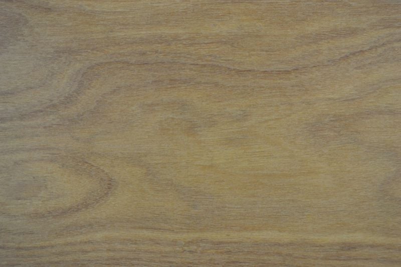 Afromozya Ağacı 13cm x 45cm x 3mm