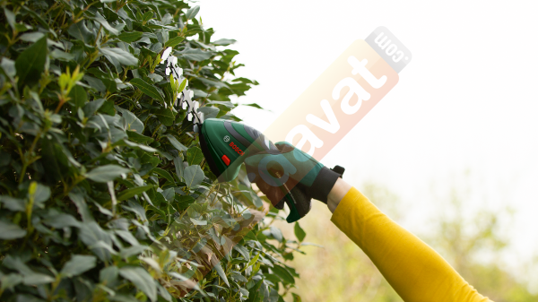 Bosch ISIO Çim ve Topiari Makası