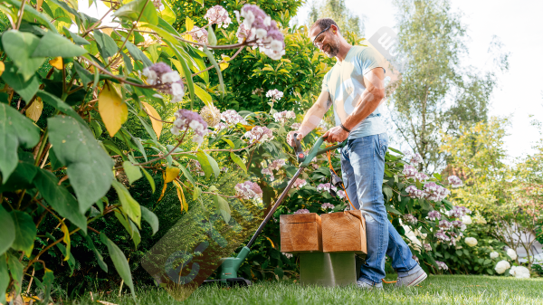 Bosch EasyGrassCut 23 Kenar Kesme Makinesi