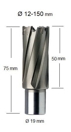 FePowerTools TCT Elmas Uçlu Manyetik Matkap Ucu 14 x 50 mm