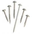 Kreg Çinko Kaplı Vida Pan Head Başlı 25mm 1000'li Paket / SPS-F1-1000