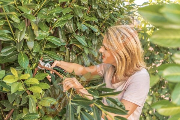 Bosch EasyPrune