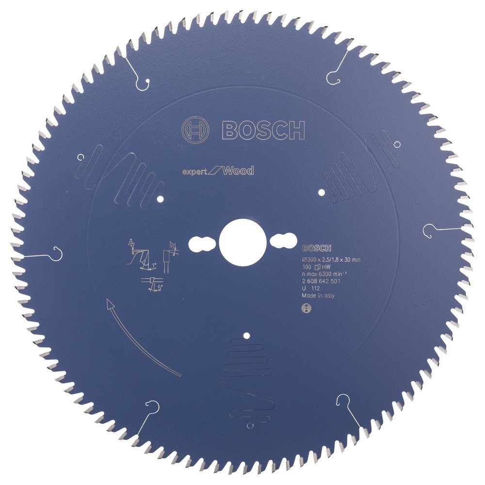 Bosch Expert for Wood 300*30 mm 100 Diş