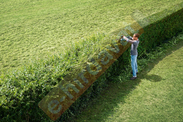 Bosch AHS 50-20 LI (Aküsüz Model) Çit Kesme Makinesi