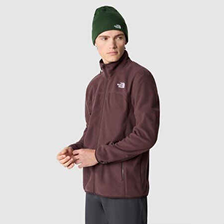 THE NORTH FACE Glacier Erkek Tam Boy Fermuarlı Polar